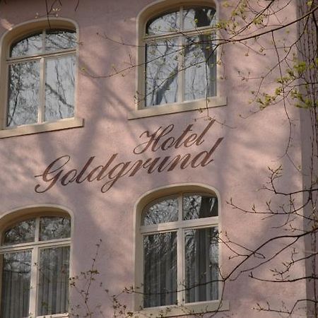 Hotel Goldgrund Meissen Ruang foto
